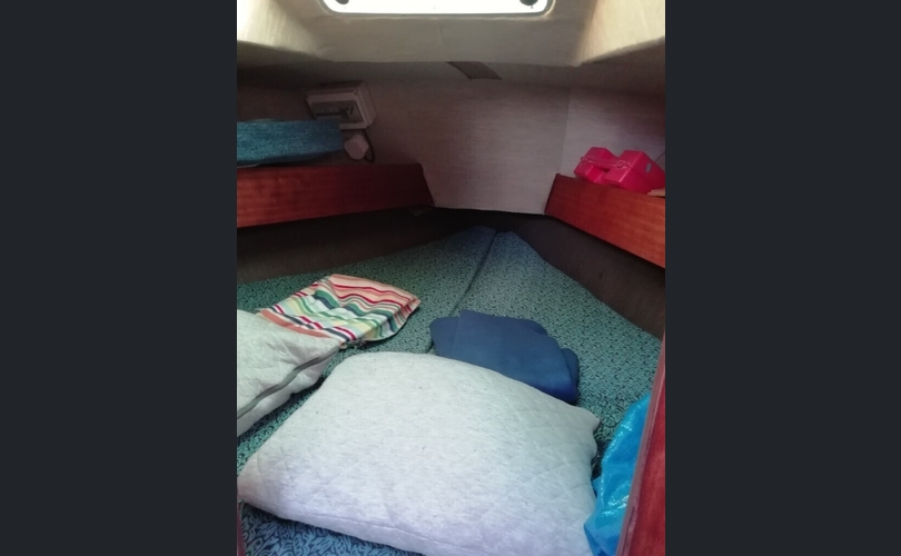 Gib-sea 35 cc ketsi-kuva-8